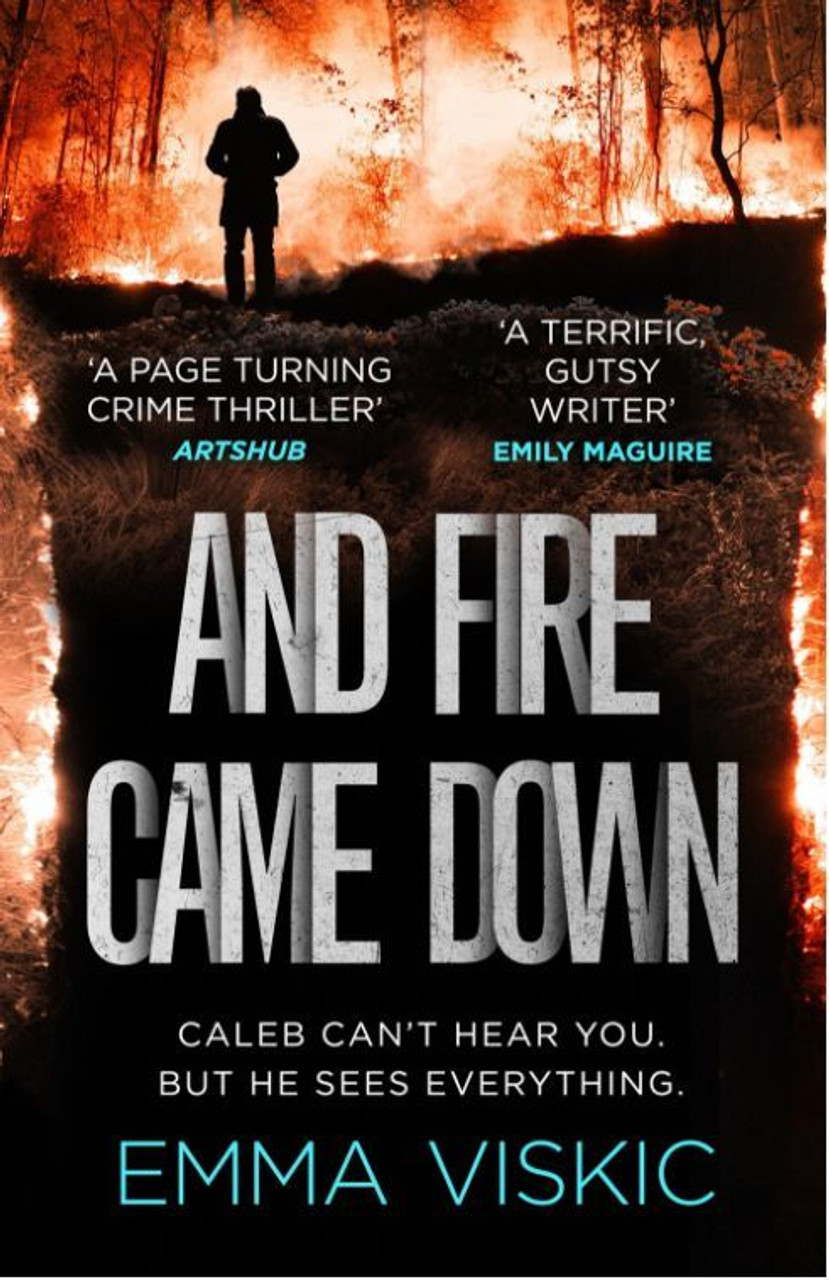 Emma Viskic / And Fire Came Down