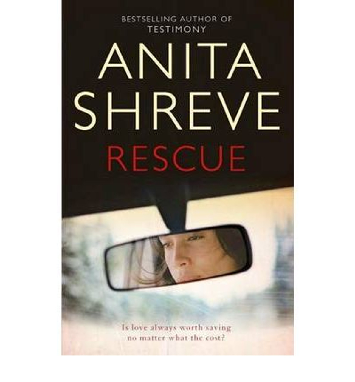 Anita Shreve / Rescue (Large Paperback)