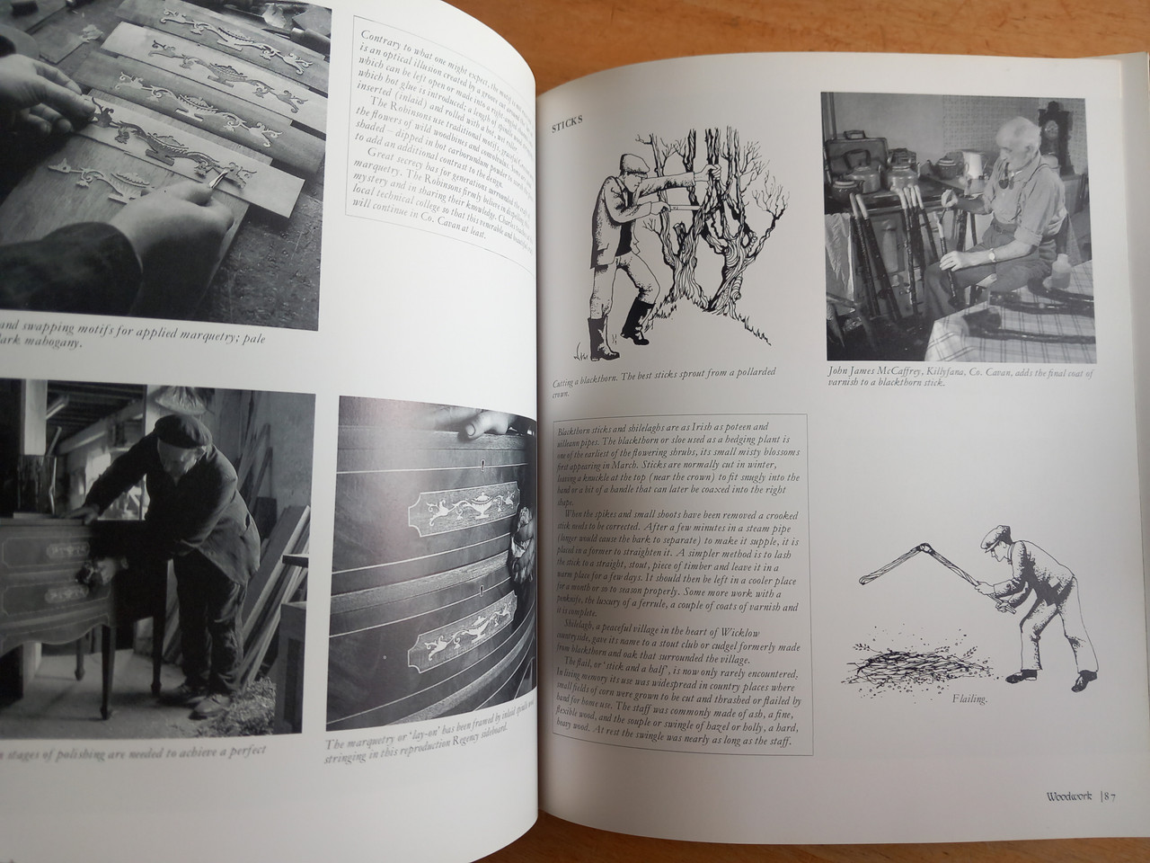 David Shaw-Smith - Ireland's Traditional Crafts - HB 1984 ( Hands RTE Series )