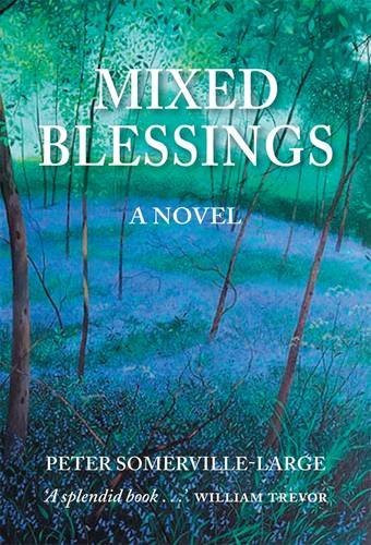 Peter Somerville Large / Mixed Blessings (Large Paperback)