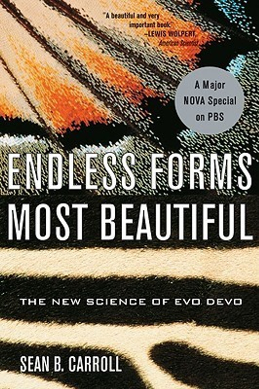 Sean B. Carroll / Endless Forms Most Beautiful: The New Science of Evo Devo (Large Paperback)