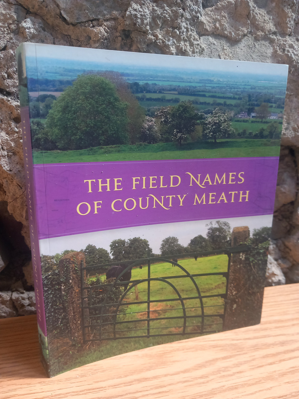 Joan Mullen & Frances Tallon- The Field Names of County Meath - PB 2013