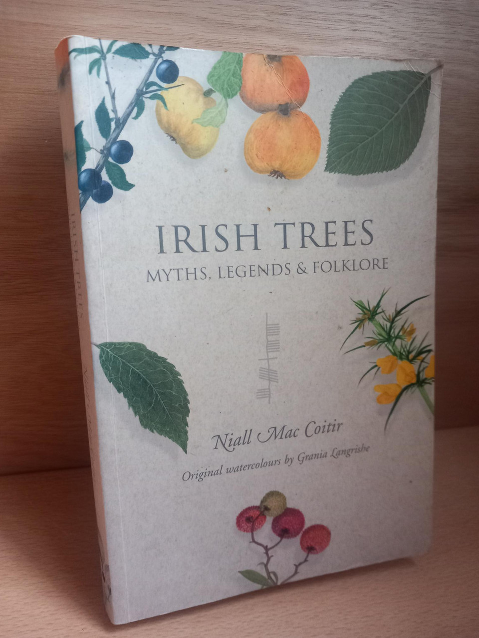 Niall Mac Coitir - Irish Trees : Myths Legends and Folklore - PB - 2008 Reprint