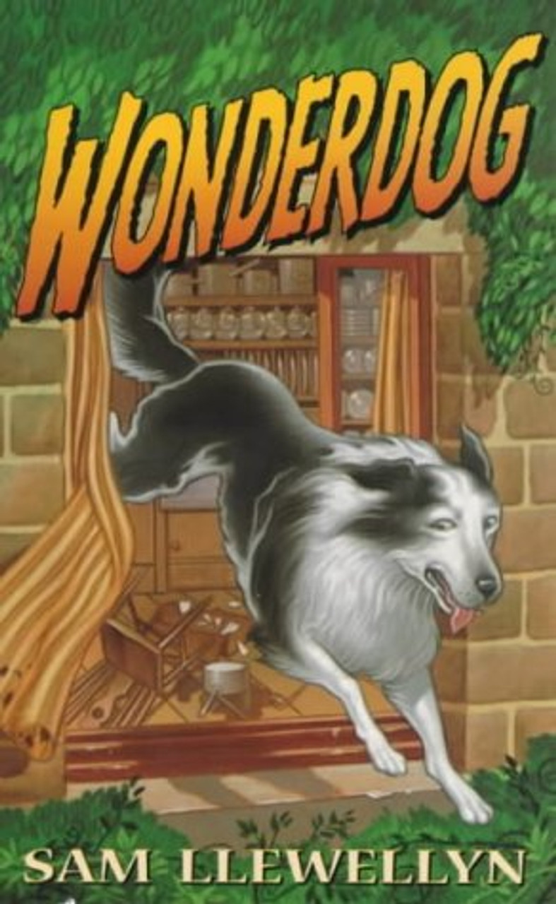 Sam Llewellyn / Wonder Dog