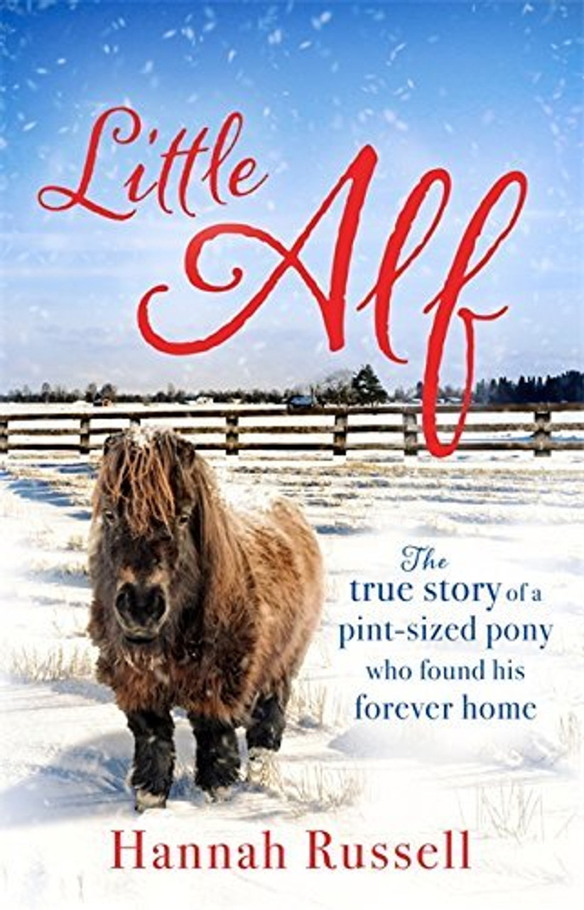 Hannah Russell / Little Alf: The true story of a pint-sized pony who found his forever home