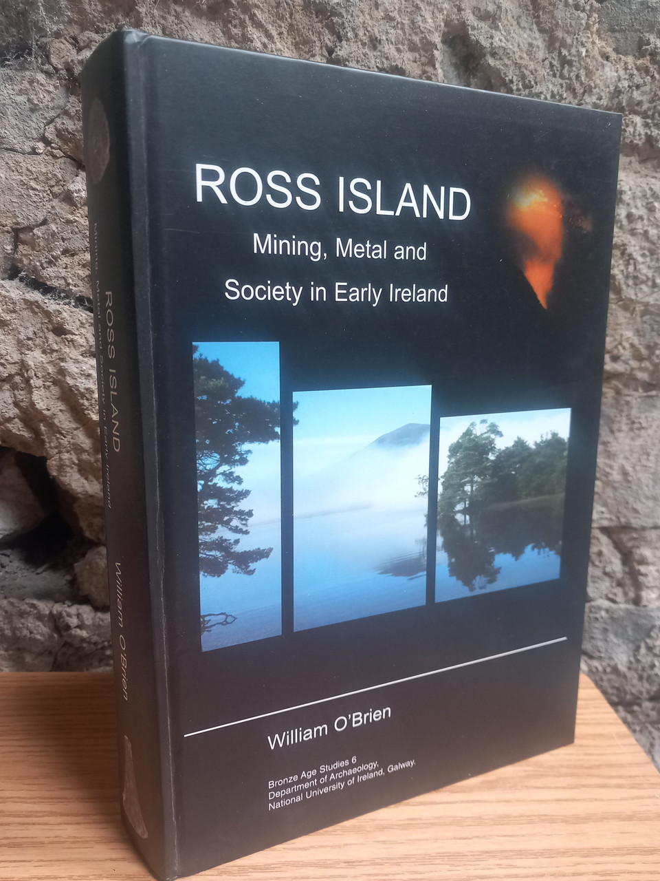 William O'Brien - Ross Island : Mining, Metal and Society in Early Island - HB - 2004
