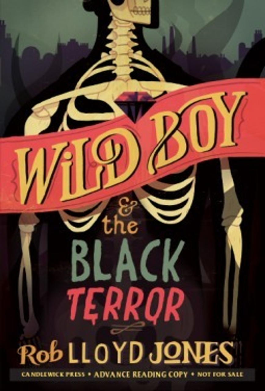 Rob Lloyd Jones / Wild Boy & The Black Terror (Hardback)