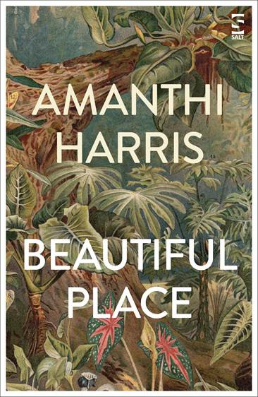 Amanthi Harris / Beautiful Place (Large Paperback)