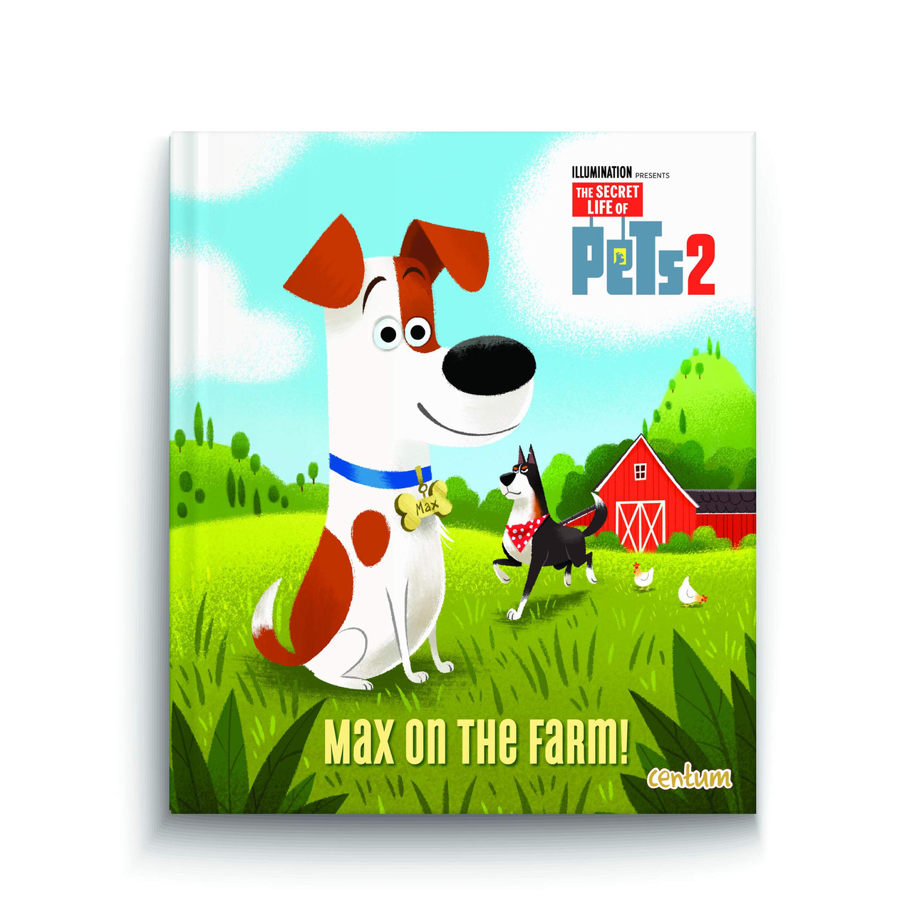 Centum Books Ltd / The Secret Life of Pets 2 (Children's Picture Book)