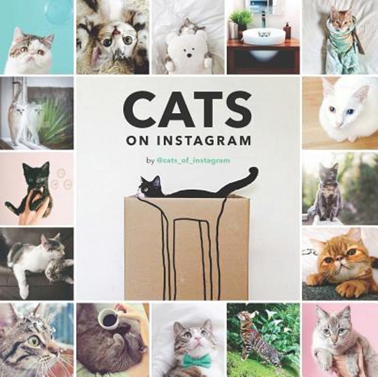 @Cats_of_instagram / Cats on Instagram (Coffee Table Book)