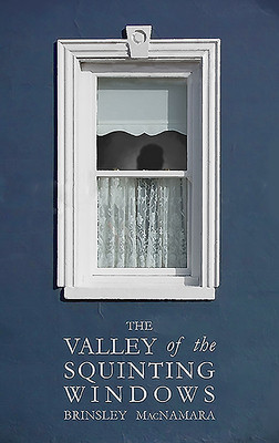 Brinsley MacNamara / The Valley of the Squinting Windows (Large Paperback)