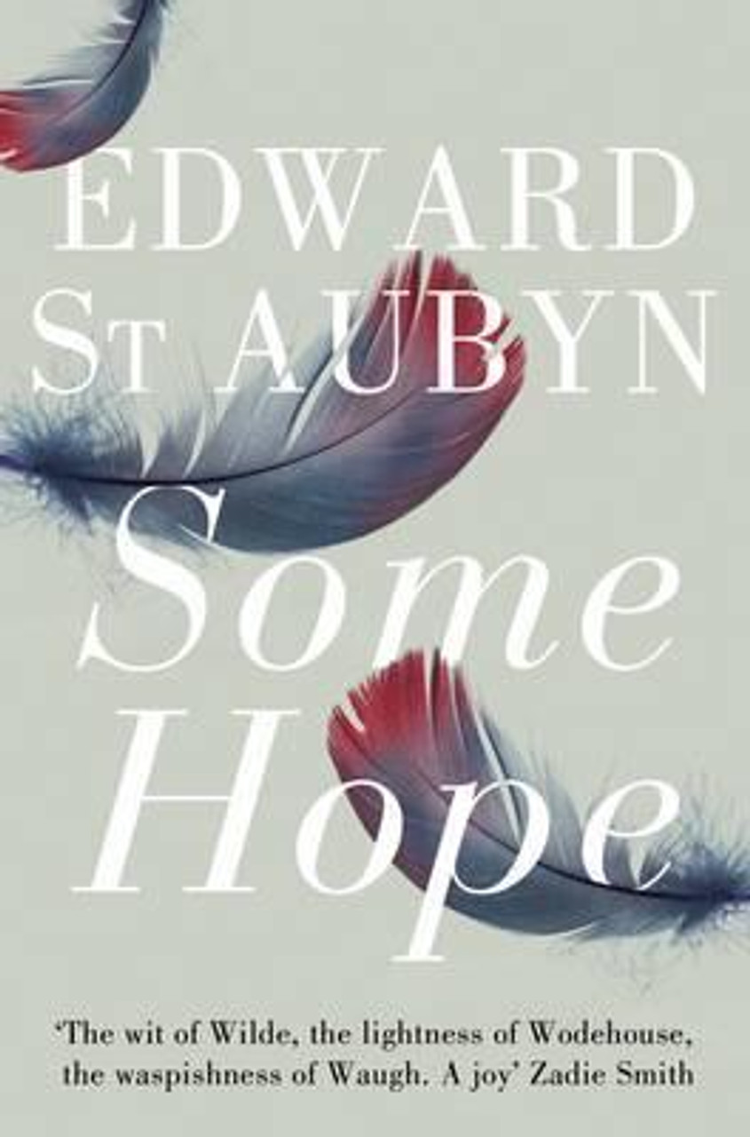 Edward St. Aubyn / Some Hope