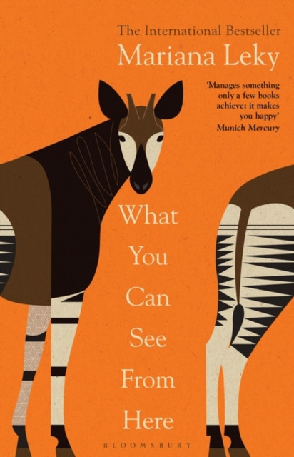 Mariana Leky / What You Can See from Here