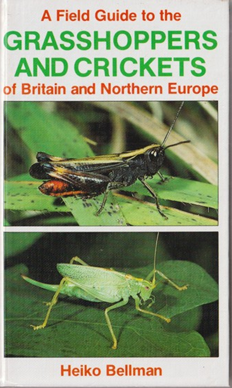 Heiko Bellman / A Field Guide to the Grasshoppers and Crickets (Hardback)