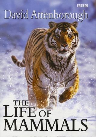 David Attenborough / The Life of Mammals (Coffee Table Book)