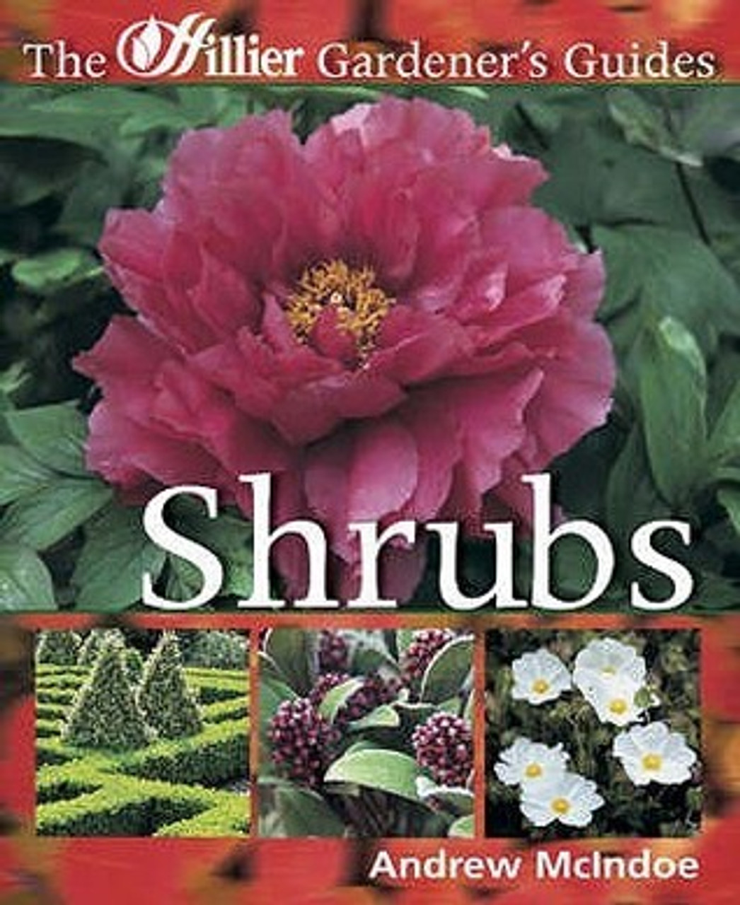 Andrew McIndoe / Shrubs (Coffee Table Book)