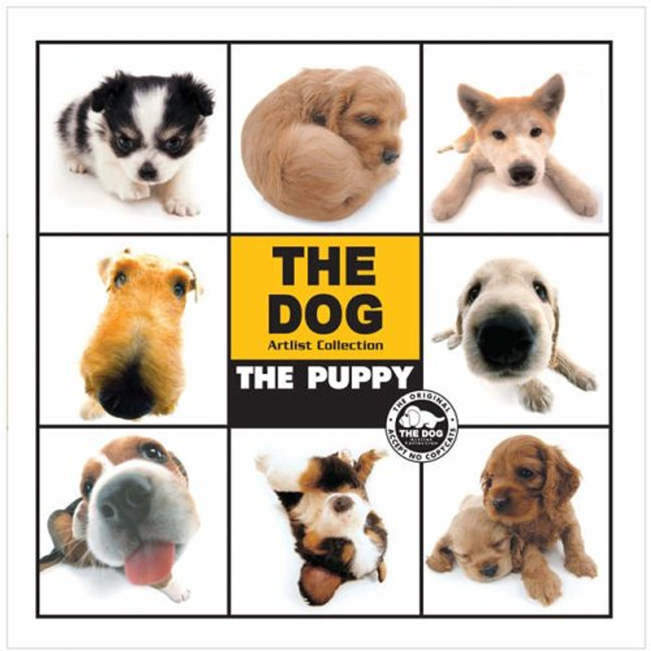 Carlton Books / The Puppy (Coffee Table Book)