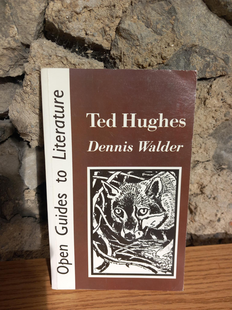 Dennis Walder - Ted Hughes - Open Guides to Literature - PB - 1987