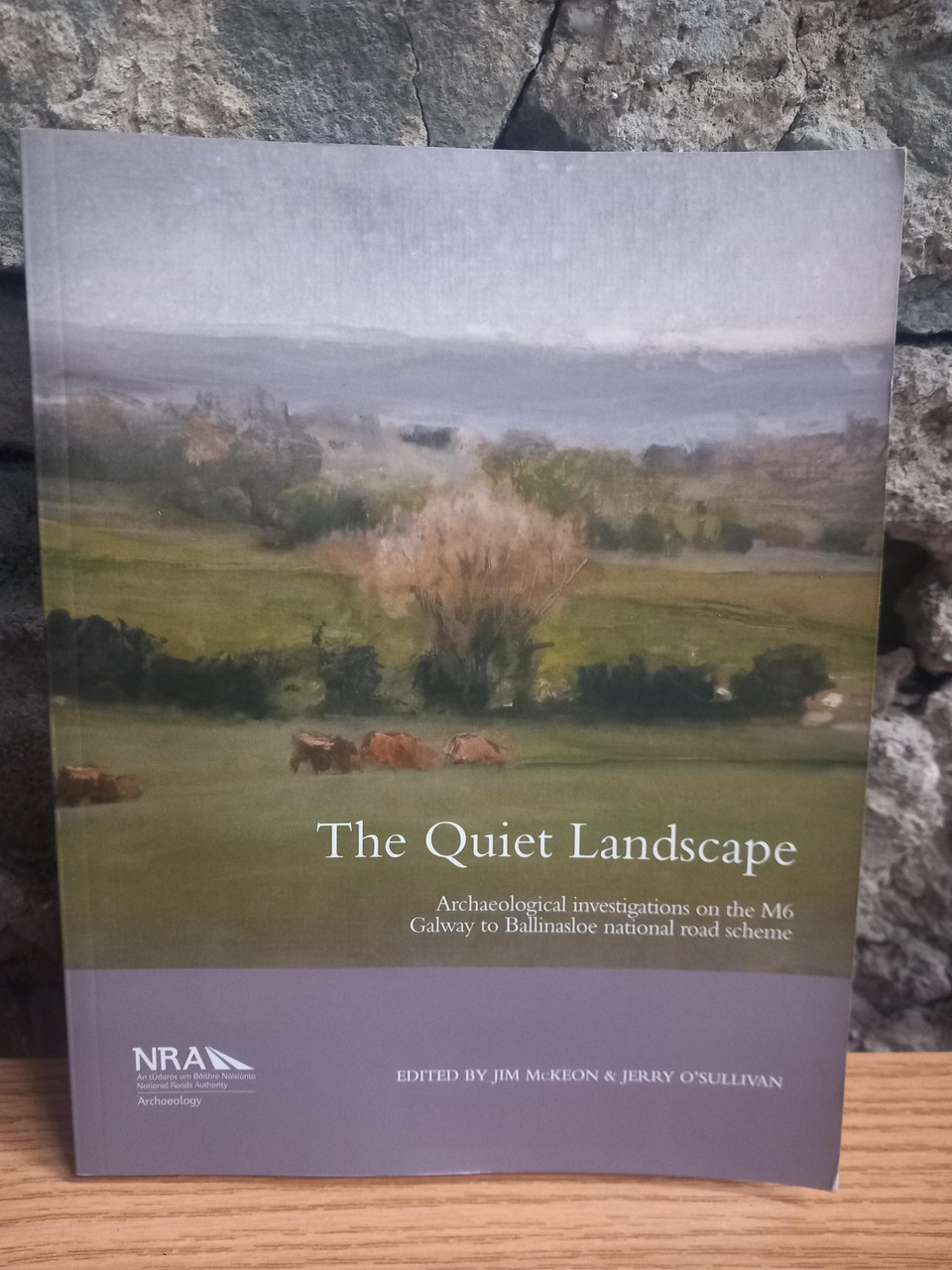 Jim McKeon and Jerry O'Sullivan - The Quiet Landscape - Archaeological Investigations on the M6 Galway to Ballinasloe National Road Scheme - PB