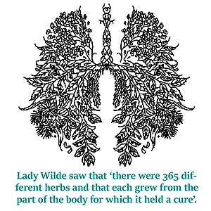 Cecily Gilligan - Cures of Ireland  - A Treasury of Irish Folk Remedies - PB - BRAND NEW