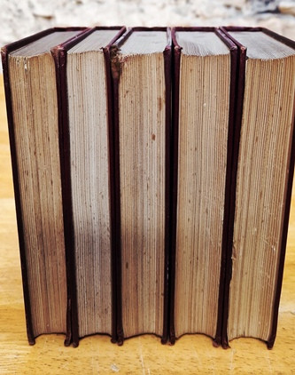 Walter Bagehot / Studies (5 Book Collection)