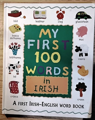 My First 100 Words in Irish (Children's Coffee Table book)