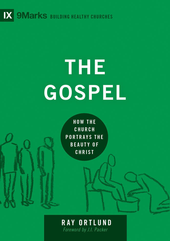 Raymond C. Ortlund Jr. / The Gospel