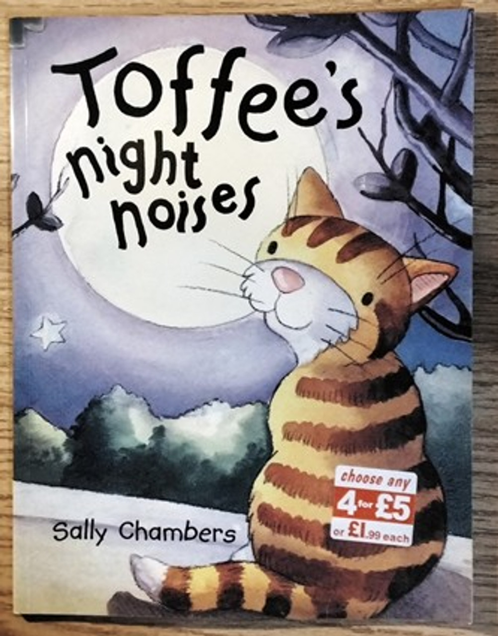 Sally Chambers / Toffee's Night Noises (Children's Picture Book)