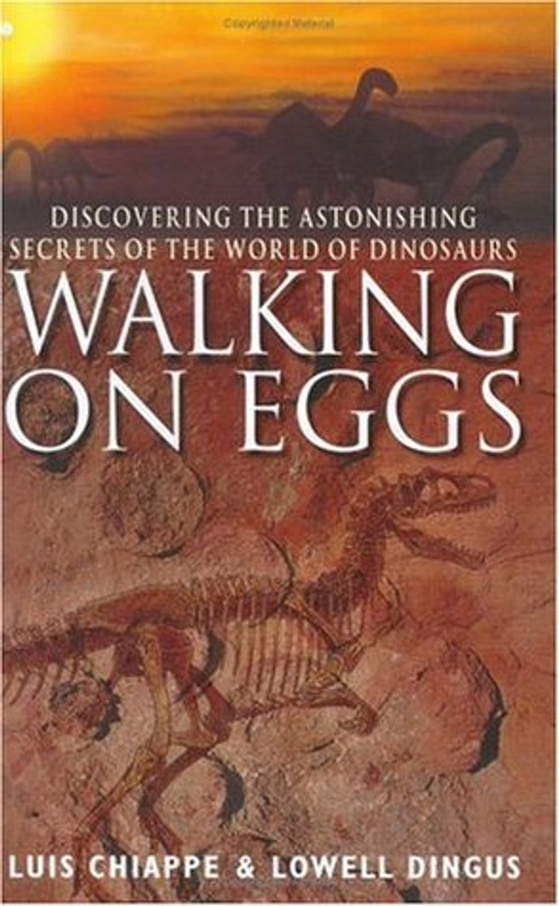 Luis M. Chiappe / WALKING ON EGGS (Hardback)