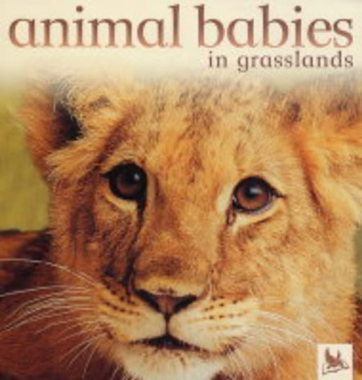 Jennifer Schofield / Animal Babies in Grasslands (Children's Coffee Table book)