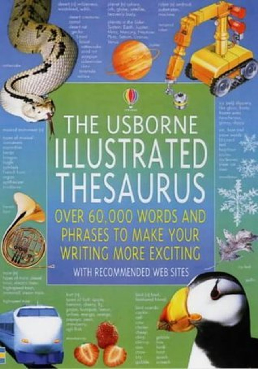 Jane Bingham / The Usborne Illustrated Thesaurus (Children's Coffee Table book)