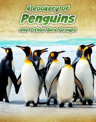 Jilly Hunt / Rookery of Penguins (Children's Coffee Table book)