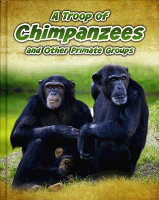 Richard Spilsbury / A Troop of Chimpanzees and Other Primate Groups (Children's Coffee Table book)