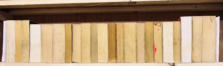 Stephen King (23 Damaged Book Collection)