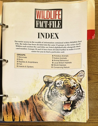Wildlife Fact File (1 Book Collection)