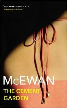 Ian McEwan / The Cement Garden