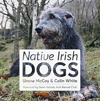 Shane McCoy & Colin White - Native Irish Dogs - HB - 2015