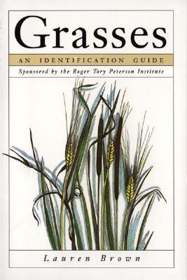 Lauren Brown / Grasses: An Identification Guide (Large Paperback)