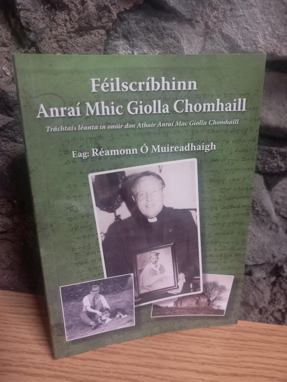 Réamonn Ó Muireadhaigh - Féilscríbhinn Anraí Mhic Giolla Chomhaill - PB