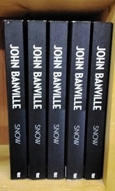 John Banville / Snow (Large Paperback) (5 Copies) (Book Club Bundle)