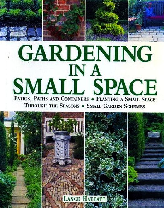 Lance Hattatt / Gardening in a Small Space: Patios, Paths and Containers (Coffee Table Book)