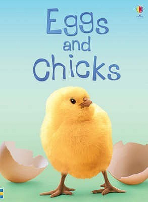 Fiona Patchett / Eggs and Chicks (Hardback)