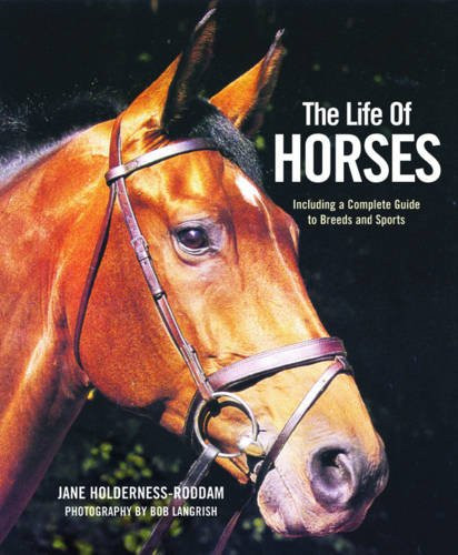 Jane Holderness-Roddam / The Life of Horses (Coffee Table Book)