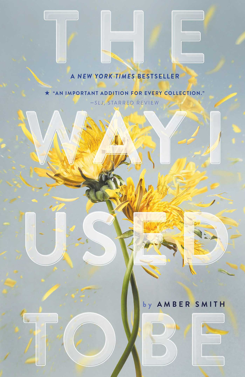 Amber Smith / The Way I Used to Be (Large Paperback)