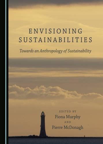 Pierre McDonagh / Envisioning Sustainabilities (Hardback)