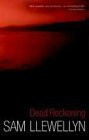 Sam Llewellyn / Dead Reckoning (Large Paperback)