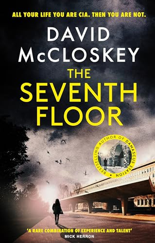 David McCloskey / The Seventh Floor (Large Paperback)