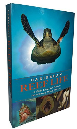 Mickey Charteris / Caribbean Reef Life - A Field Guide For Divers (Large Paperback)