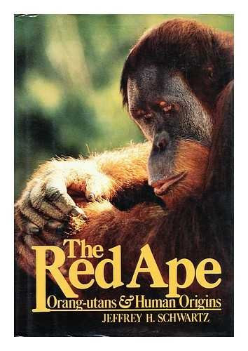 Jeffrey H. Schwartz / Red Ape Orangutans and Human Origins (Hardback)