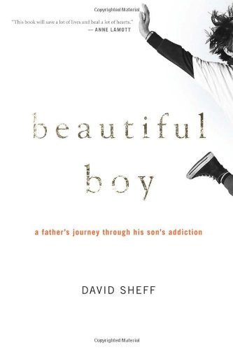 David Sheff / Beautiful Boy (Hardback)